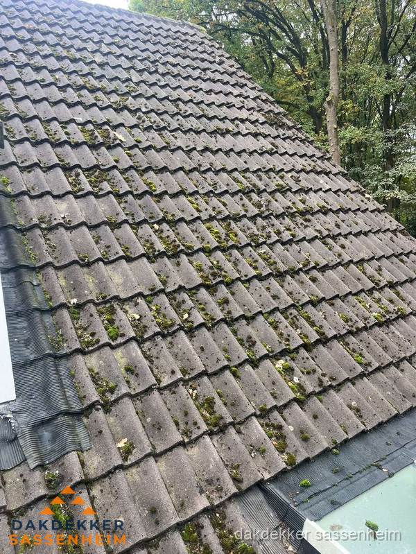 Verweerd pannendak met mosgroei dat renovatie nodig heeft in Sassenheim Verweerd pannendak met mosgroei dat renovatie nodig heeft in Sassenheim
